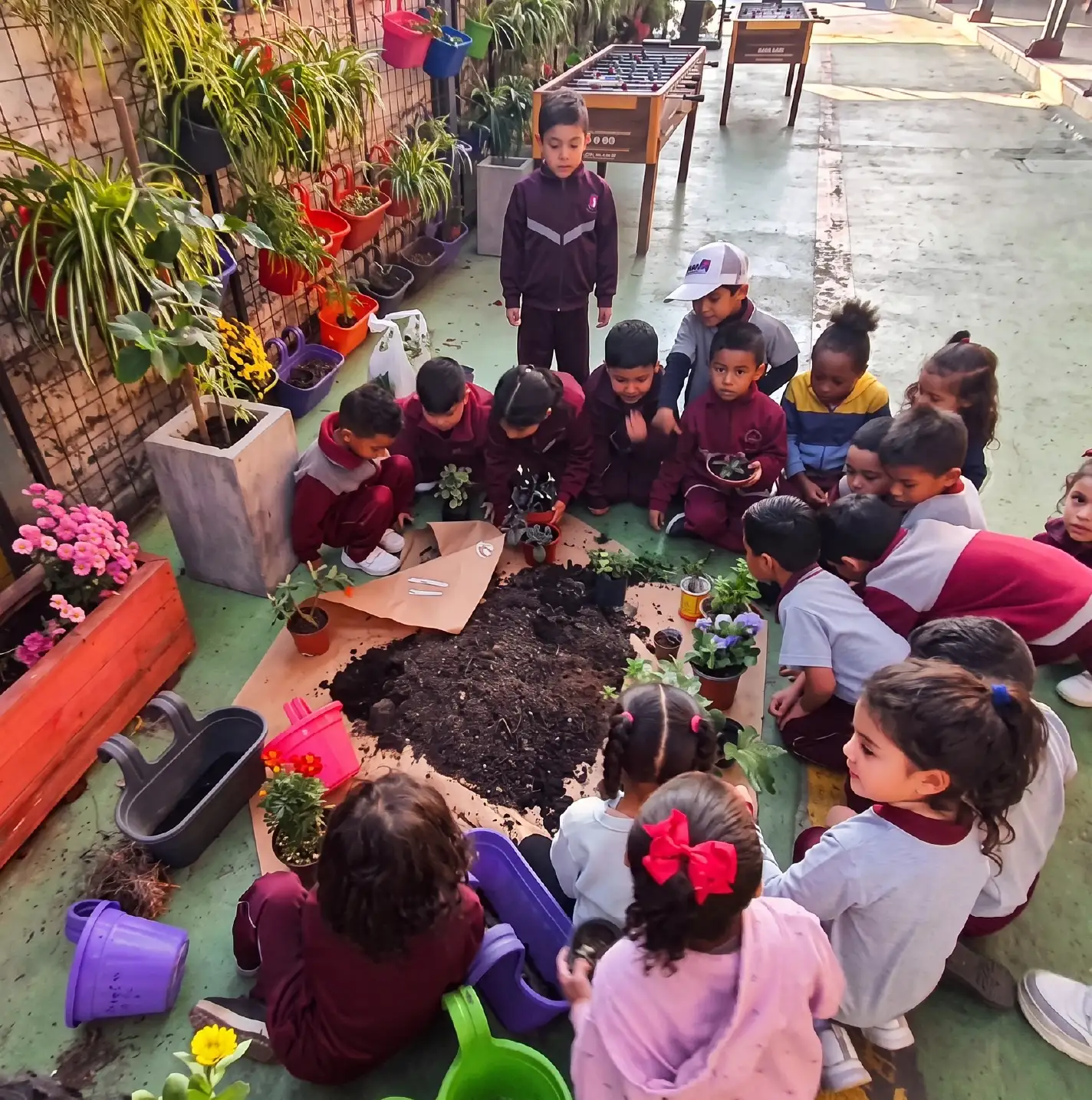 Comunidad IDP